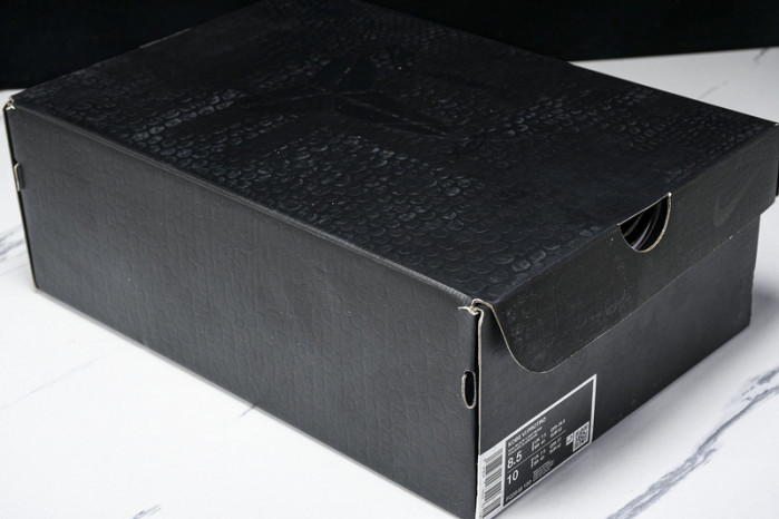 Nike Kobe 6 Protro “All-Star 2.0” FQ3546-100