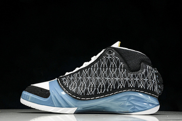 Air Jordan 23 UNC 318376-041