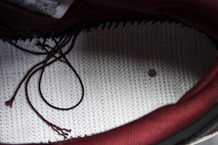 Riot Skateshop x Nike SB Dunk Low FZ1289-200