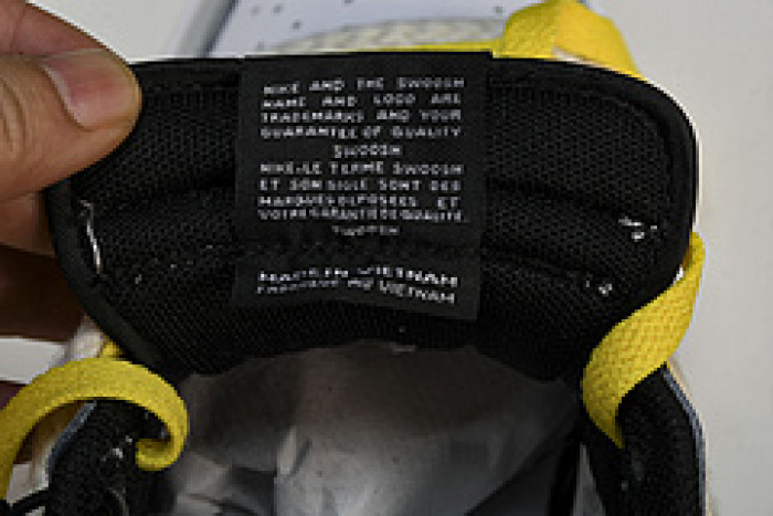 nike dunk low dd1391-100 xl