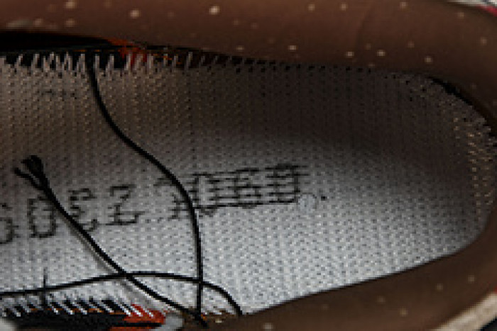 nike sb dunk low top ramen 313170-101