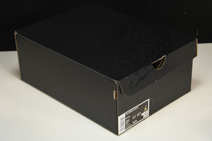 jordan 1 low se concord dv1309-100