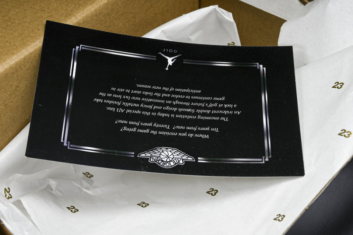 jordan 1 retro low golf endless pursuit pack fz4159-100