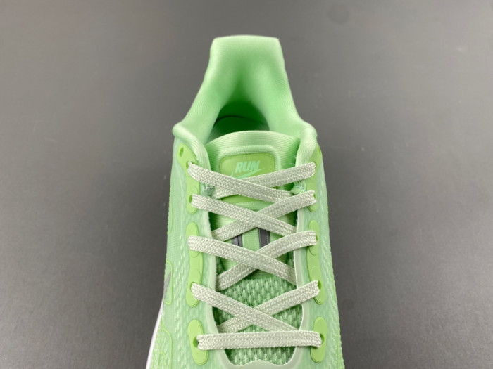 Nike Pegasus Premium FN8453-023