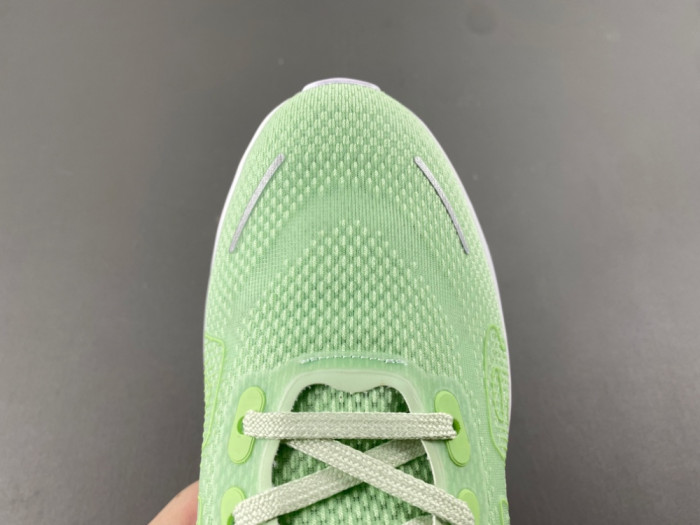 Nike Pegasus Premium FN8453-023