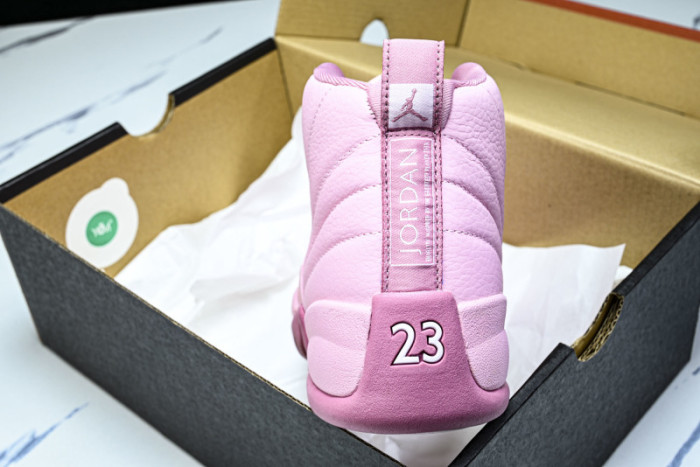 Air Jordan 12 510815-600